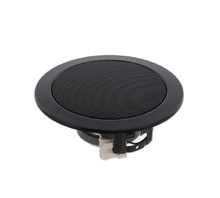 DL 10 - 8 OHM (RAL 9005)-Bild.